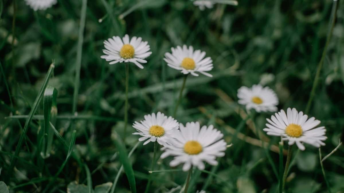 Jak influencerzy z Polski współpracują z markami z Meksyku na Instagramie