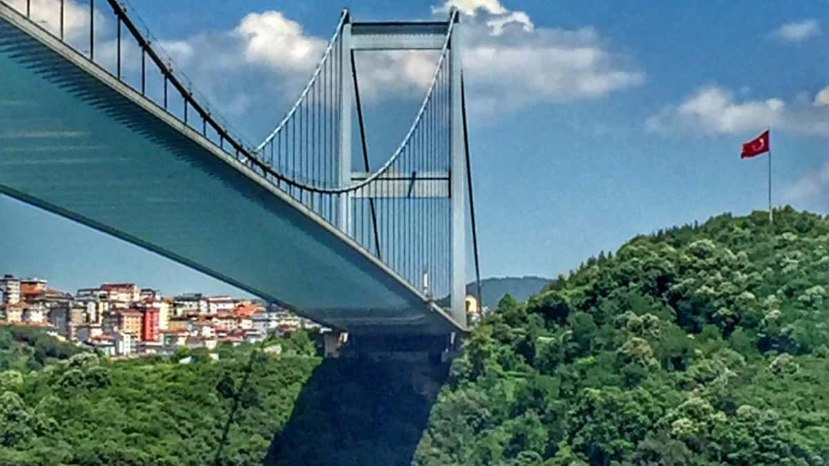 Twórcy na LinkedIn w Norwegii: Jak wspominać marki w story, by zyskać zasięgi