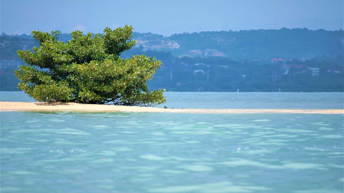 Jak znaleźć serbskich twórców na Discord do lokalizacji przekazu marki?