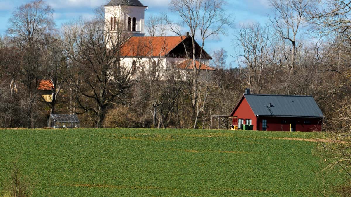 Marketerzy w Polsce: jak znaleźć twórców Apple Music z Bośni i Hercegowiny i zyskać zasięgi