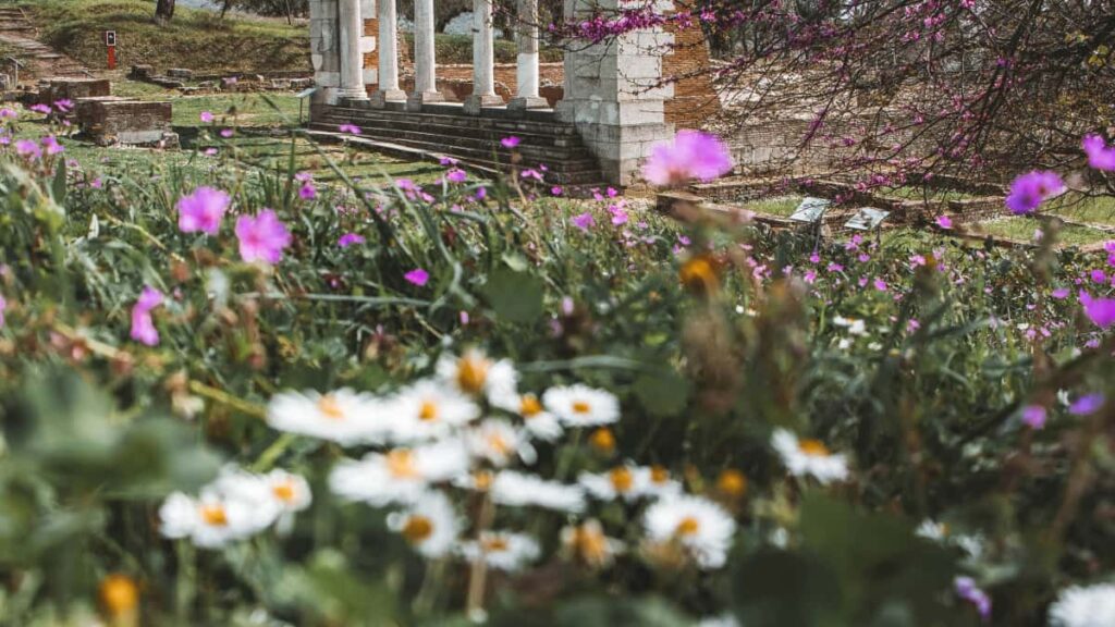 Praktyczny przewodnik dla tworcow z Polski: jak znalezc, skontaktowac sie i wynegocjowac recenzje platform edukacyjnych oraz kursow z ofert Taobao.