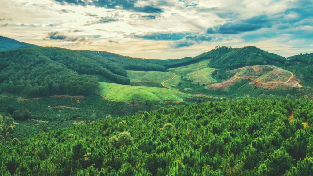 Praktyczny przewodnik dla polskich tworcow fitness jak znalezc, zgosic sie i zamknac wspoprace z markami z Omanu na Instagramie. Taktyki, przykady i checklista krok po kroku.