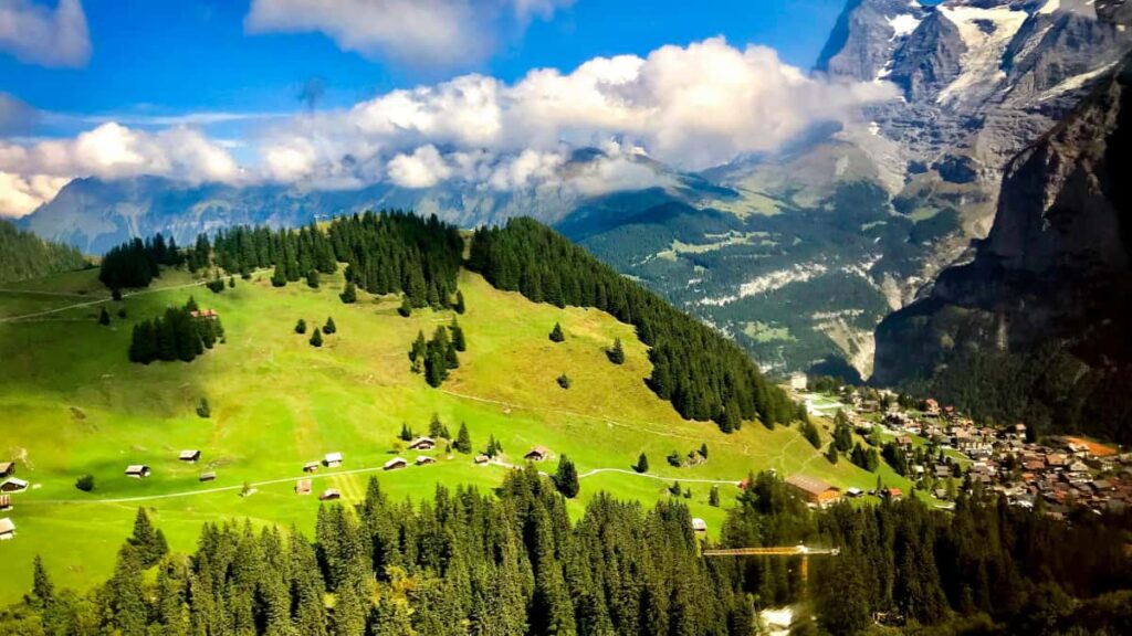 Praktyczny poradnik dla tworcow z Polski: jak znalezc i skontaktowac maltanskie marki na Reddit, pitchowac kampanie wellness i przeksztacac dyskusje w wspoprace.