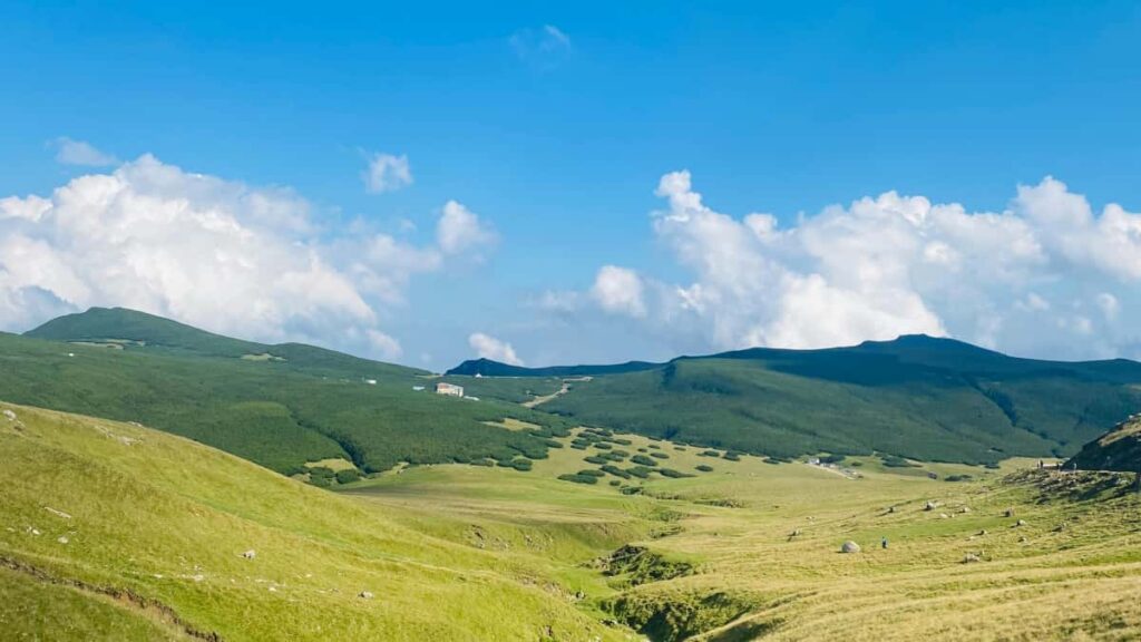 Praktyczny przewodnik dla tworcow z Polski: jak dotrzec do urugwajskich marek na Viberze i zrealizowac wspoprace przy wyzwaniach stylizacyjnych.