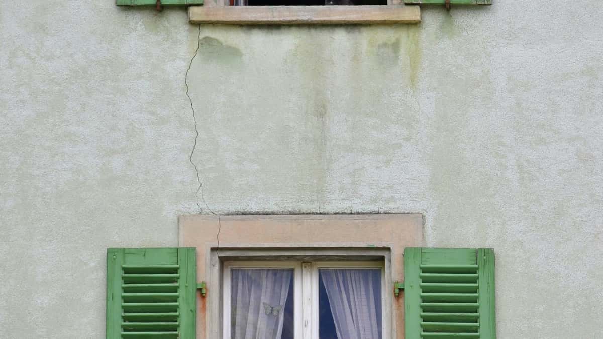 Twórcy: Jak dotrzeć do nigeryjskich marek na Zalo z metamorfozami?