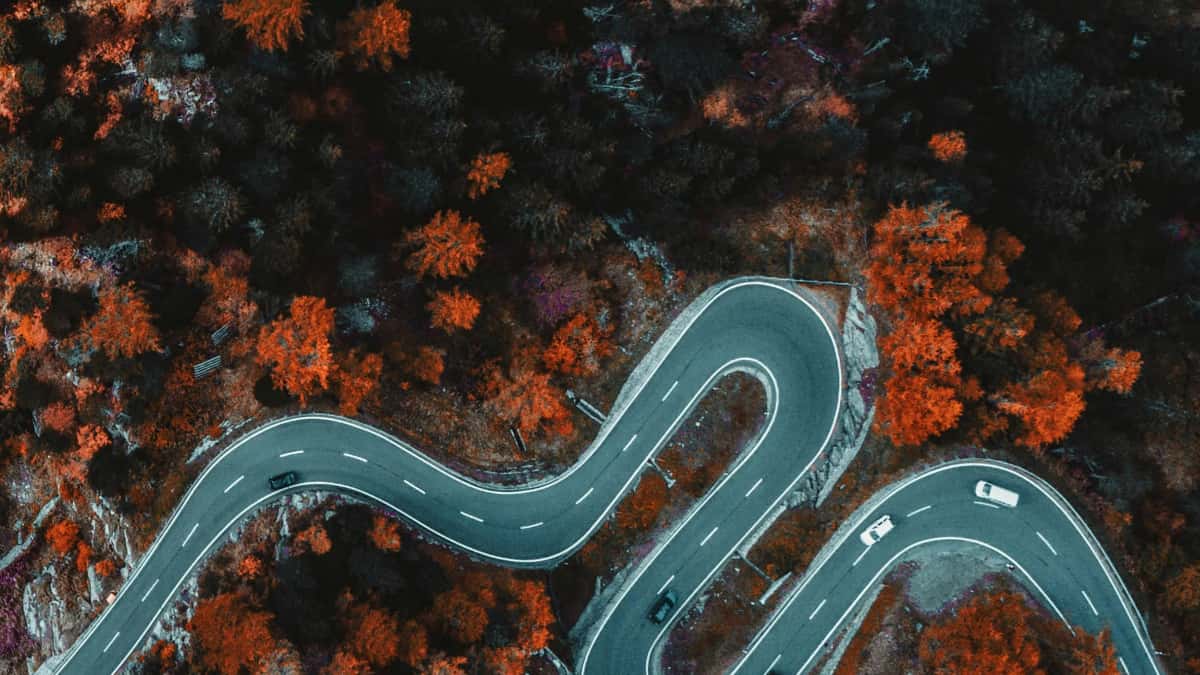 Reklamodawcy: jak znaleźć duńskich twórców YouTube na promocje sezonowe
