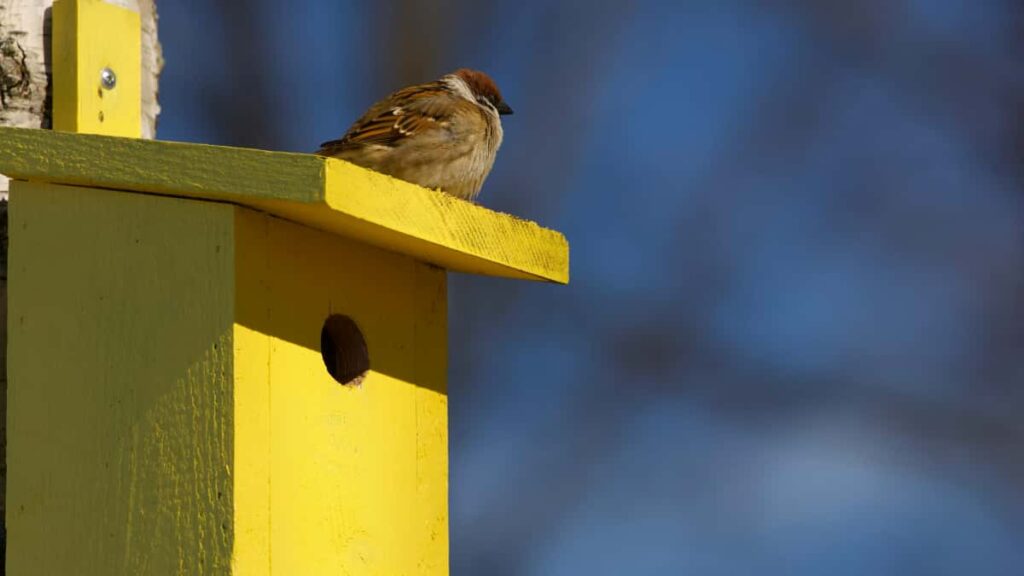 Praktyczny przewodnik dla reklamodawcow z Polski: gdzie szukac i jak aktywowac luksemburskich tworcow Takatak do livestream ecommerce oraz jak mierzyc efekty.