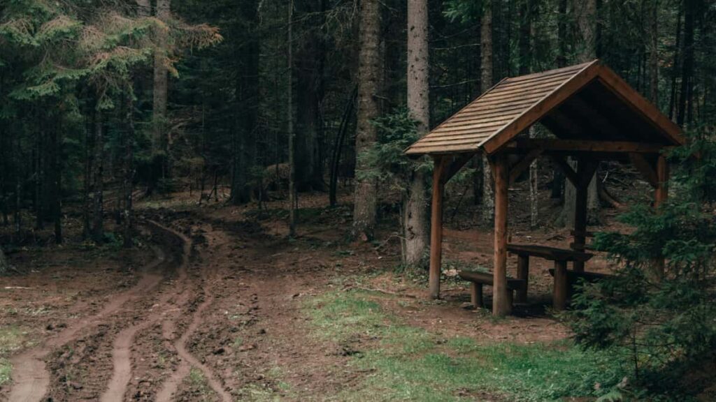 Praktyczny przewodnik dla polskich reklamodawcow: jak znalezc i aktywowac omanskich tworcow na Twitterze do limitowanych dropow krok po kroku, z lokalnymi taktykami i zrodami.