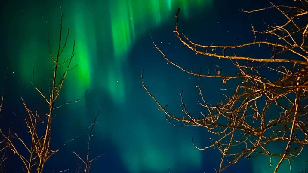 Praktyczny przewodnik dla reklamodawcow z Polski: gdzie i jak znalezc ukrainskie tworczynie OnlyFans do promocji linii suplementow zdrowotnych.