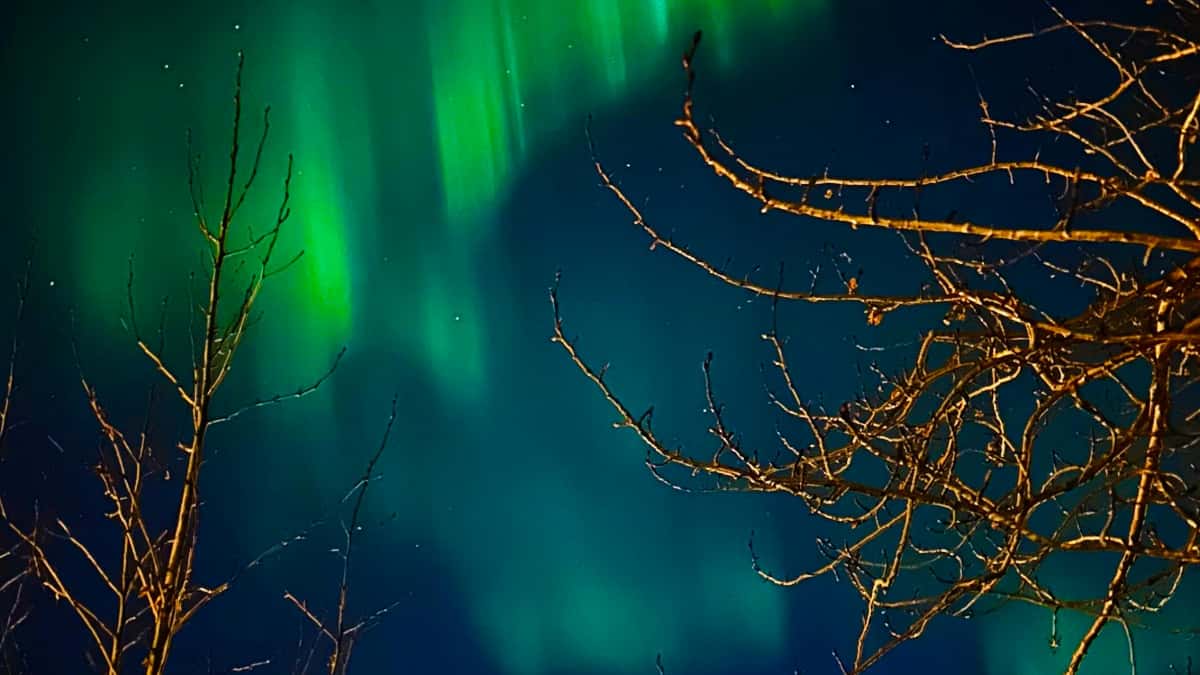 Marketerzy: jak znaleźć ukraińskie twórczynie OnlyFans?