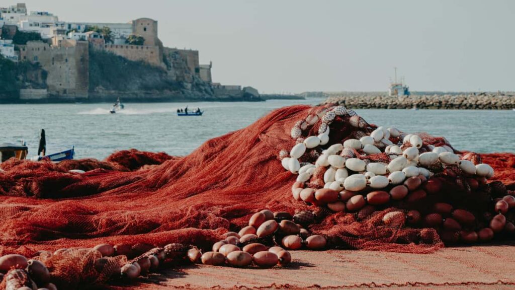 Praktyczny przewodnik dla reklamodawcow z Polski: jak znalezc tworcow uzywajacych Zalo w Zjednoczonych Emiratach, z taktykami pozyskania, briefu i ryzyka.