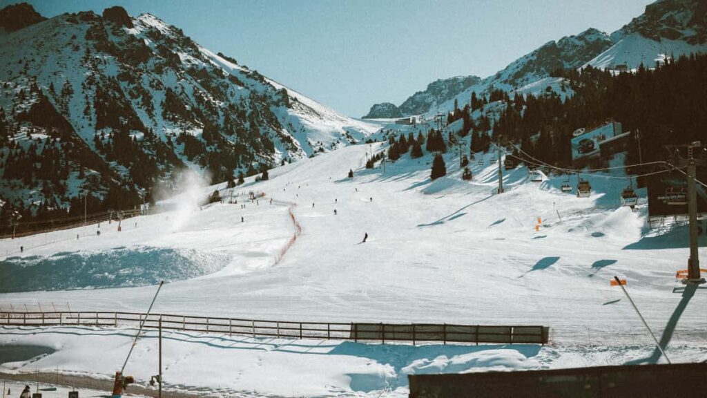 Praktyczny przewodnik dla reklamodawcow w Polsce: jak znalezc tworcow Austria Josh i aczyc ich z top creatorami przy tworzeniu linii produktowych.