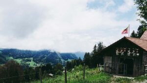 Praktyczny przewodnik dla marketerow z Polski: jak znalezc finlandzkich creatorow na Shopee i zamienic ich followersow w kupujacych.