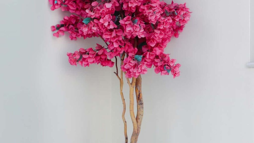 Praktyczny przewodnik dla polskich tworcow: jak znalezc i przekonac egipskie marki na Clubhouse do wspopracy przy song reaction videos.