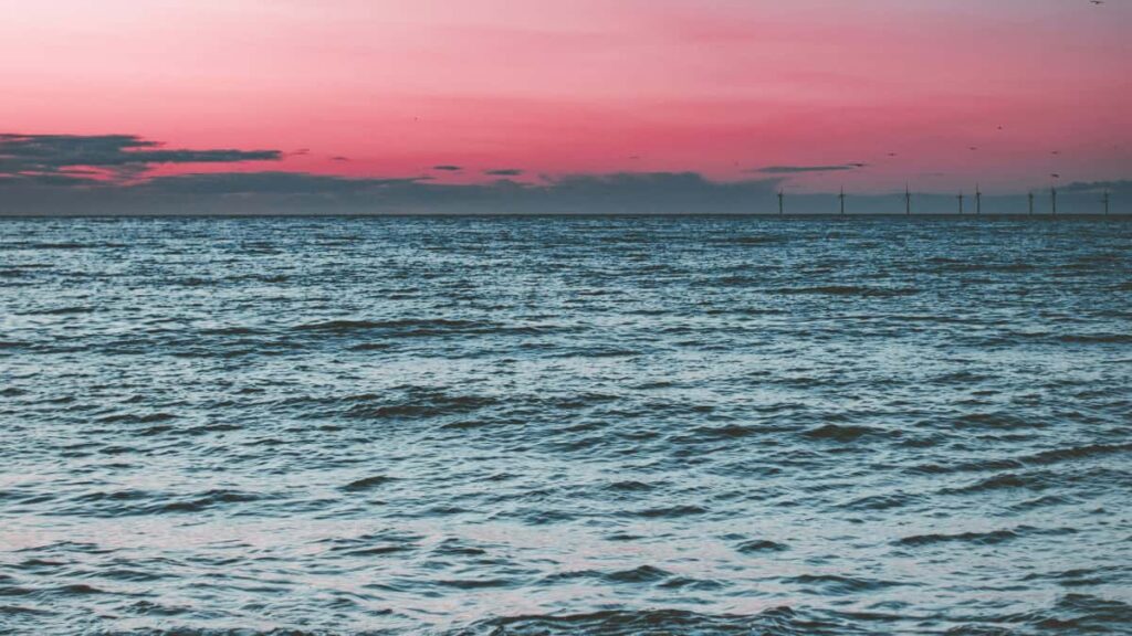 Praktyczny przewodnik dla polskich tworcow: jak znalezc, skontaktowac i wspopracowac z markami z Ekwadoru na Bilibili, by sprzedawac produkty afiliacyjne.