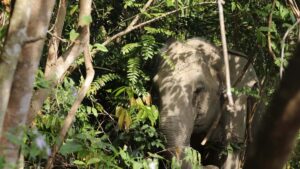 Praktyczny przewodnik dla polskich tworcow fitness: jak znalezc, podejsc i tworzyc branded content z markami z Holandii na Shopee kroki, narzedzia i szanse w 2026.