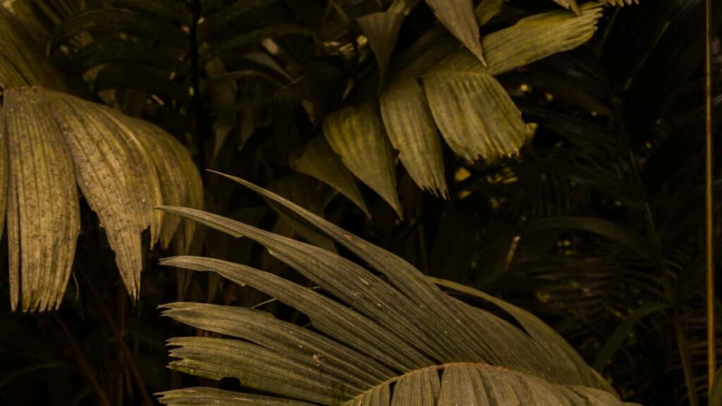 Praktyczny przewodnik dla marketerow w Polsce: jak zidentyfikowac tworcow z Serbii do wspolnych linii produktowych z top creatorami, skalowac konwersje i uniknac najczestszych puapek.